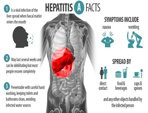 Know more about #hepatitis a #symptoms