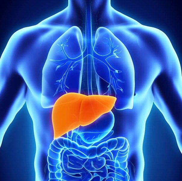Liver Inflammation (Hepatitis)