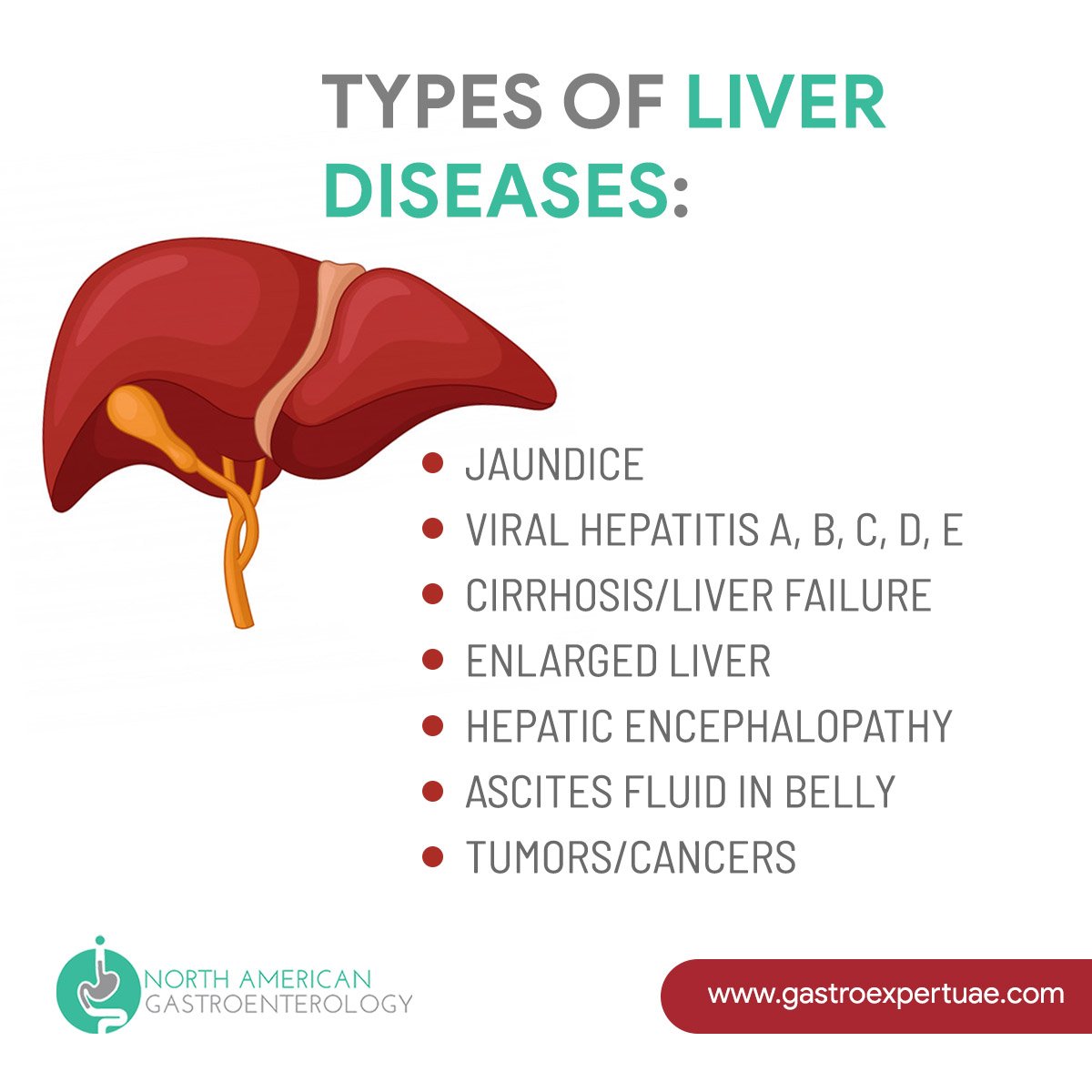 Liver Tumor:Symptoms and Risk Factors (Posts by North American ...