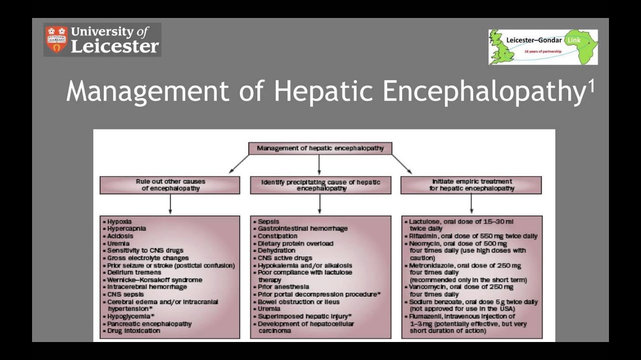 Management of Hepatic Encephalopathy in 5 Minutes