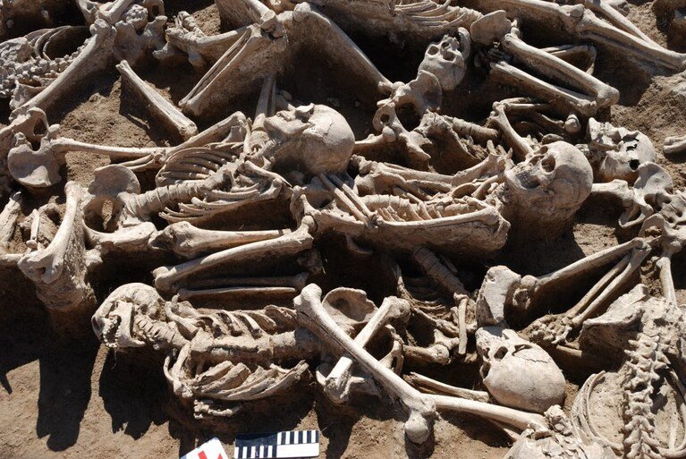 New strains of hepatitis B virus discovered in ancient human remains ...