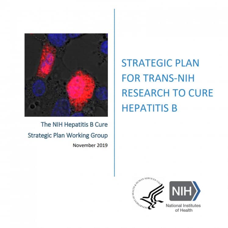 NIH releases strategic plan for research to cure hepatitis B ...