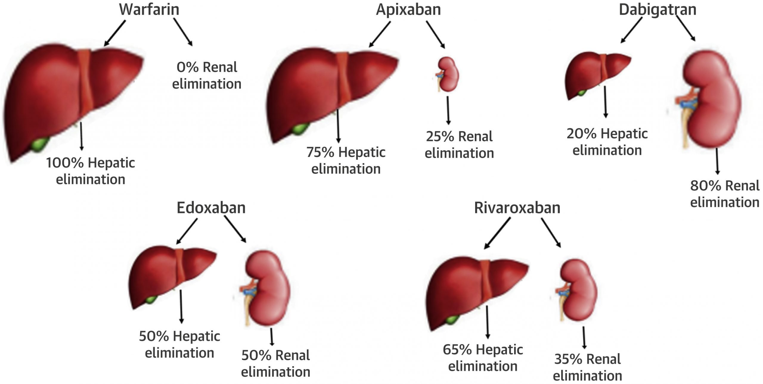 Oral Anticoagulation in Patients With Liver Disease ...