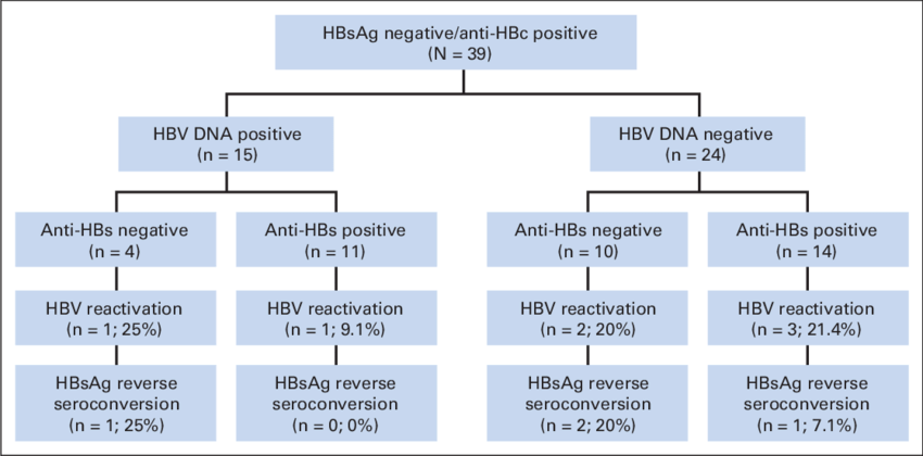 Risk of hepatitis B virus (HBV) reactivation and hepatitis ...