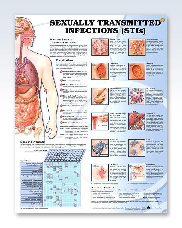 Sexually Transmitted Infections poster with 2 grommets