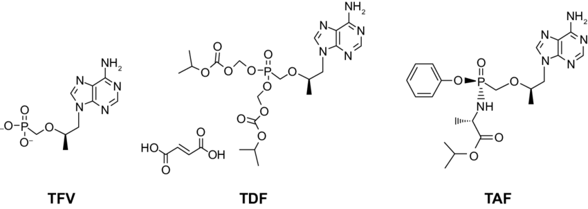 Structures of tenofovir (TFv) and its prodrugs tenofovir ...