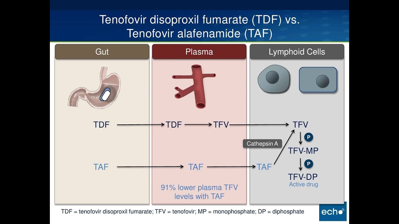 Tenofovir Alafenamide (TAF)