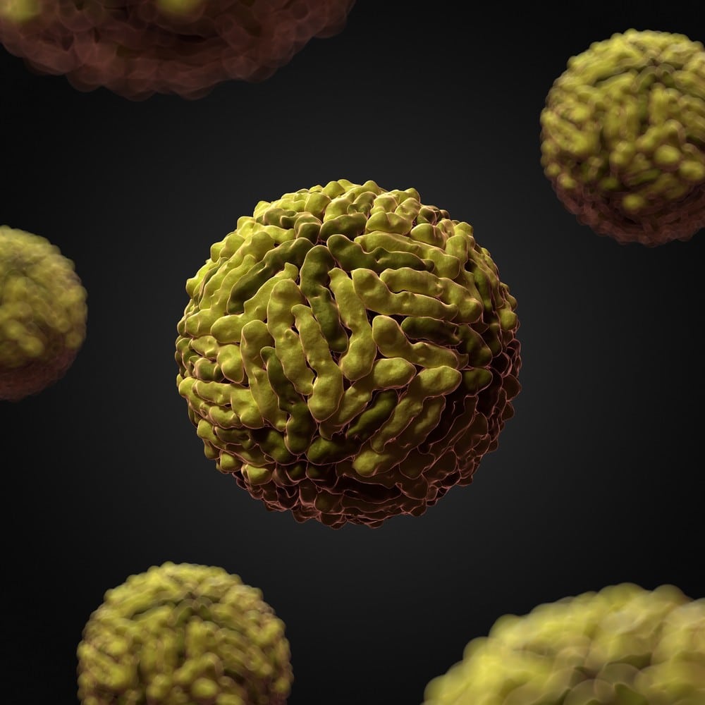 These 12 Viruses Look Beautiful Up Close But Would Kill You If They ...