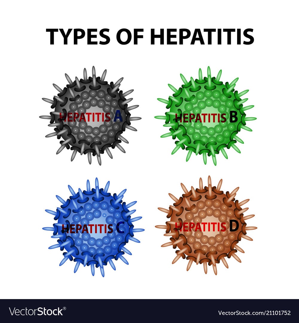 Types of hepatitis viruses hepatitis a b c d Vector Image