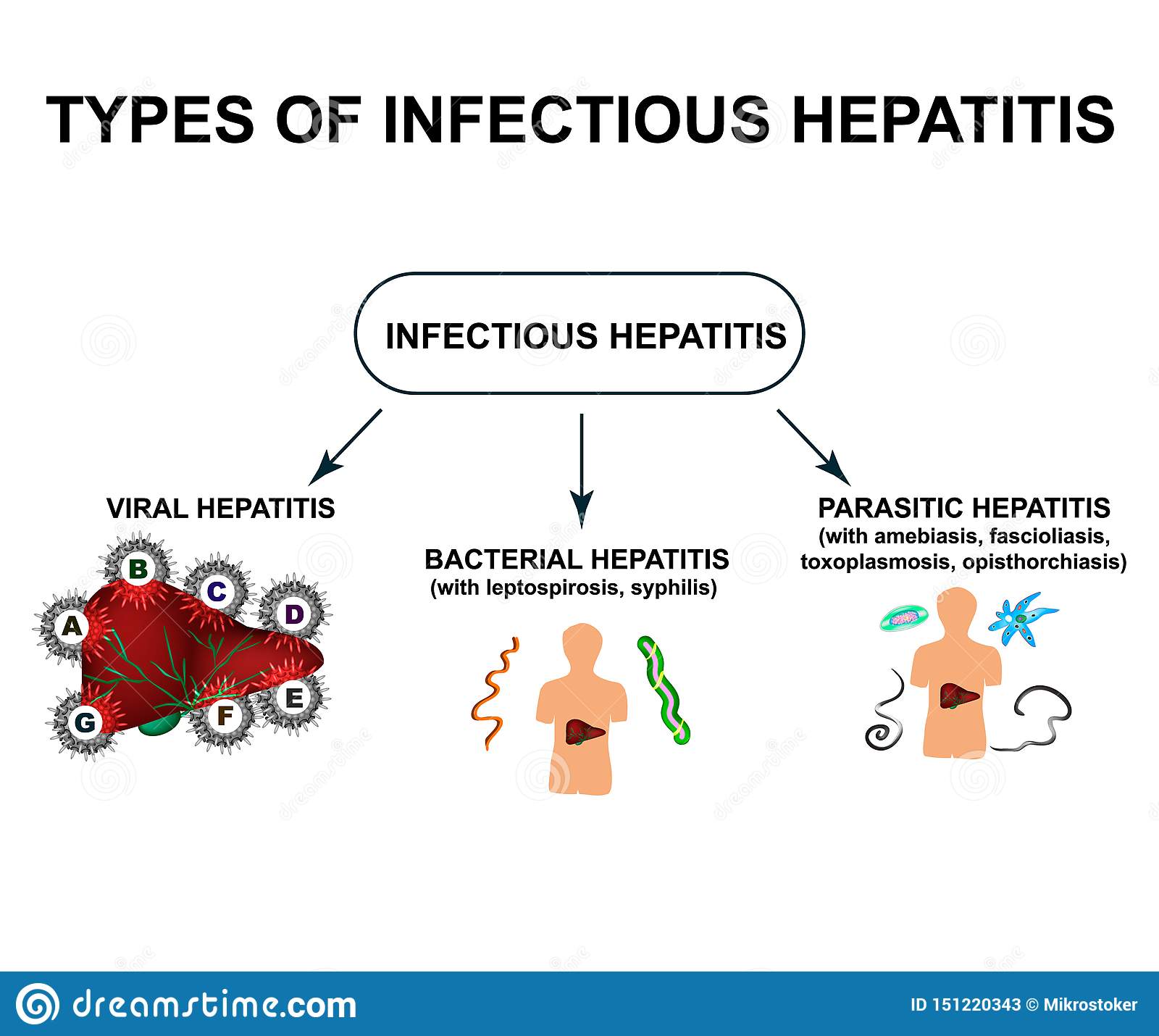 Types of Viral Hepatitis. Hepatitis a, B, C, D, E, F, G. World ...