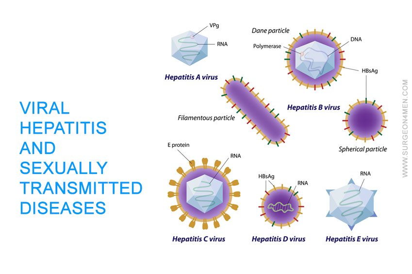 Viral Hepatitis and Sexually Transmitted Diseases