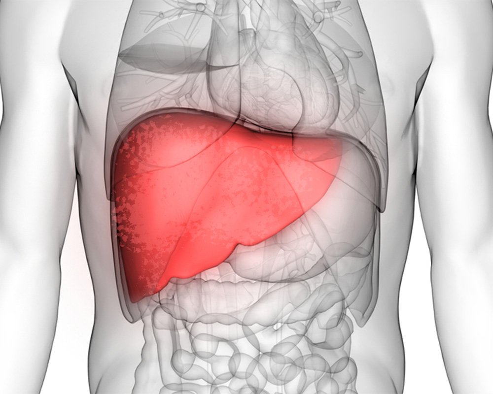 What Is Diffuse Hepatic Steatosis?