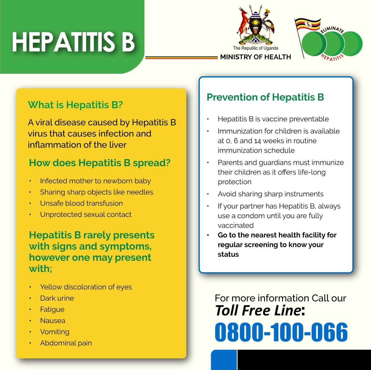 What is Hepatitis B
