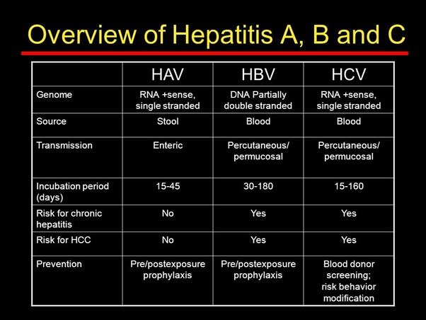 What is the difference between Hepatitis A, Hepatitis B ...