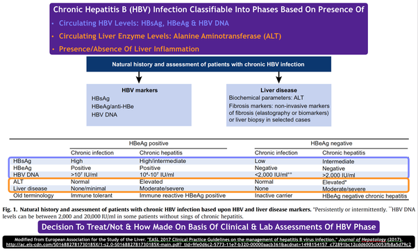 Which drug is used to treat chronic hepatitis B?