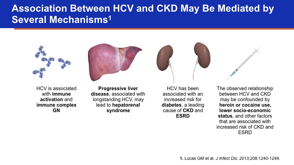Why hepatitis C matters in patients with chronic kidney disease?